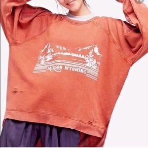 Free People Jackson Wyoming Mixed Sweater